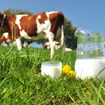 Органічне молоко